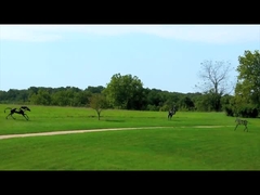 γλυπτό χαλκού